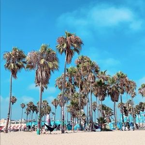 Meet your Posher, Katya